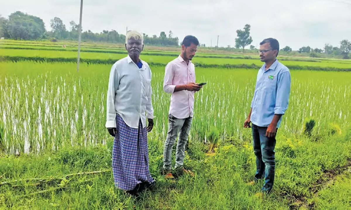 Telangana: तेलंगाना के AEOs ‘पीठतोड़’ सर्वेक्षण को लेकर संघर्ष के रास्ते पर