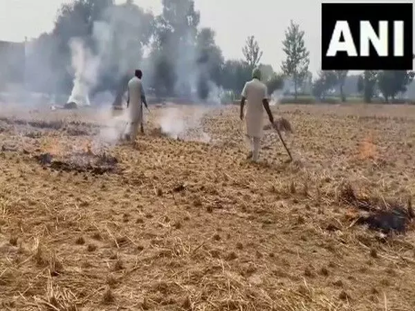 Punjab के किसानों ने सरकार से पराली जलाने के स्थायी समाधान की मांग की, सख्त जुर्माने का भी प्रावधान