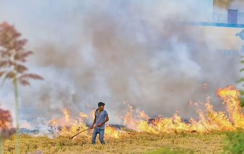 गुरुग्राम में द्वारका एक्सप्रेसवे पर कचरा जलाने के मामले में पहली FIR दर्ज