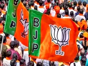 महाराष्ट्र विधानसभा चुनाव: BJP द्वारा पहली सूची जारी करने के बाद मतभेद उभर कर सामने आए