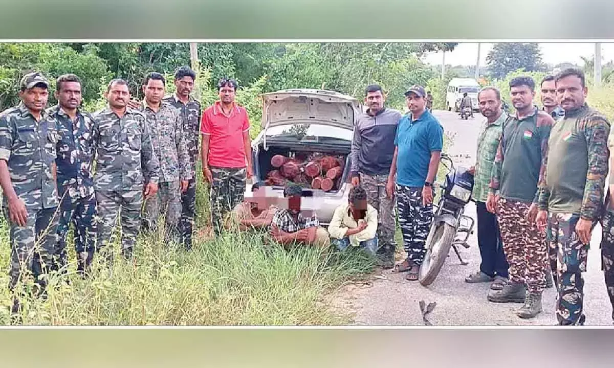 Andhra Pradesh: तीन तस्कर गिरफ्तार; 14 लाल चंदन की लकड़ियां जब्त