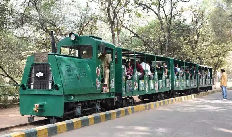 Nehru चिड़ियाघर पार्क में टॉय ट्रेन सेवा फिर से शुरू