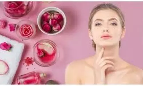 Skin Care:  सर्दियों में आपकी त्वचा को इन समस्याओं से बचाएगा गुलाब जल