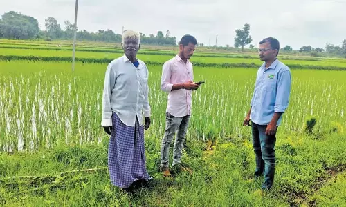 तेलंगाना के AEO ‘पीठतोड़’ सर्वेक्षण को लेकर संघर्ष के रास्ते पर