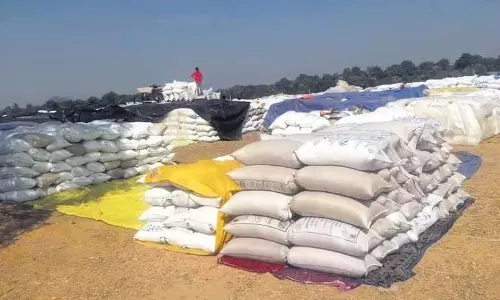 Odisha कृषि एवं प्रौद्योगिकी विश्वविद्यालय ने किसानों के लिए चक्रवात संबंधी सलाह जारी की