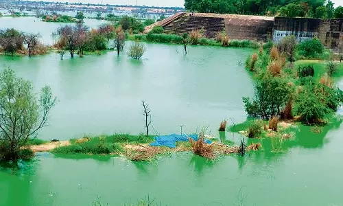 Haryana : रेवाड़ी एसटीपी मानकों को पूरा करने में विफल