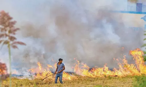 गुरुग्राम में द्वारका एक्सप्रेसवे पर कचरा जलाने के मामले में पहली FIR दर्ज गुरुग्राम में द्वारका एक्सप्रेसवे पर कचरा जलाने के मामले में पहली FIR दर्ज