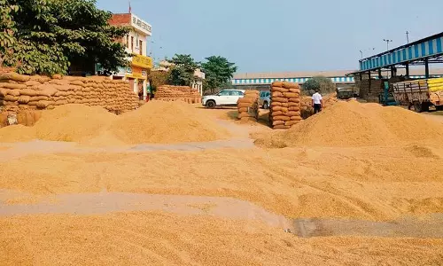 Haryana : अंबाला में देरी से उठान और भुगतान में देरी से किसानों को परेशानी Haryana : अंबाला में देरी से उठान और भुगतान में देरी से किसानों को परेशानी