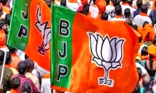 महाराष्ट्र विधानसभा चुनाव: BJP द्वारा पहली सूची जारी करने के बाद मतभेद उभर कर सामने आए