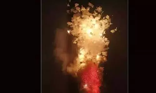Kerala: पटाखों के खिलाफ केंद्रीय आदेश, पुरप्रेमी ने और ढील की मांग की