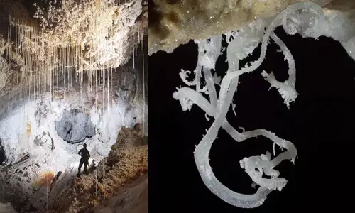 Carlsbad Caverns: न्यू मैक्सिको की अलौकिक गुफाएं Carlsbad Caverns: न्यू मैक्सिको की अलौकिक गुफाएं