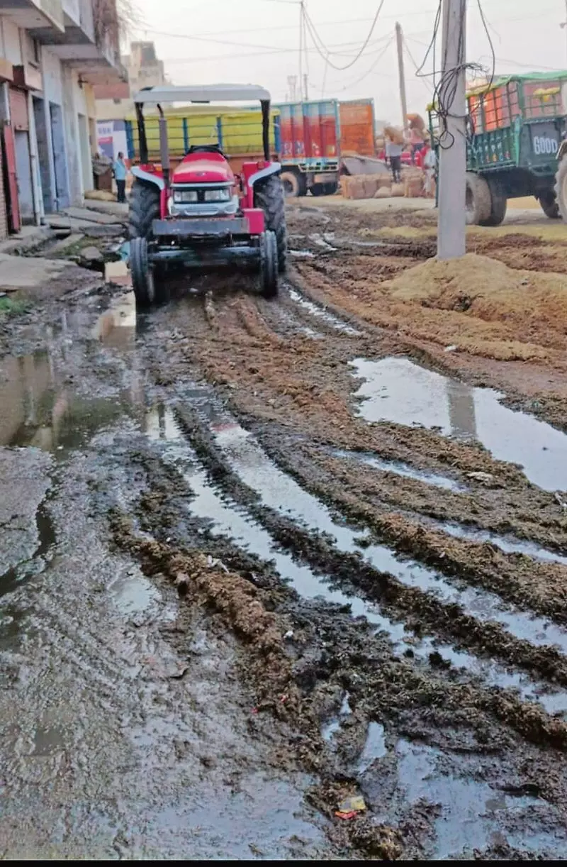 Haryana : हमारे पाठक क्या कहते हैं स्थिर पानी स्वास्थ्य के लिए ख़तरा