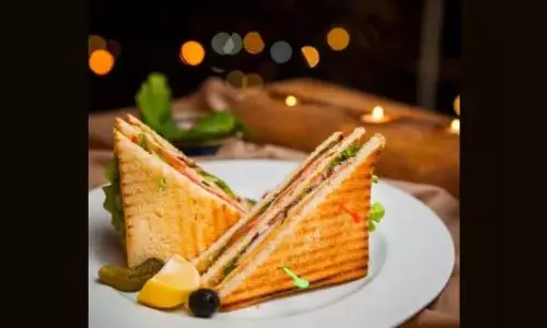 Paneer Sandwich: नाश्ते में इन तरीकों से बना सकते हैं पनीर सैंडविच
