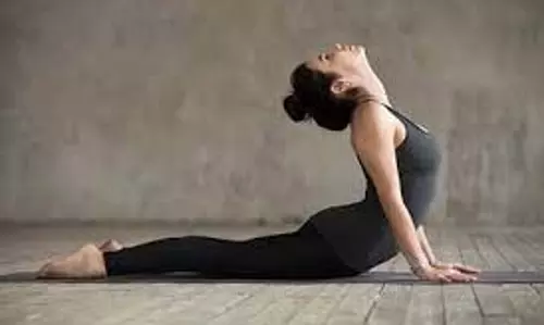 yogasana: घुटन भरी हवा में सांस लेना हो जाता है मुश्किल, रोजाना करें ये योगासन yogasana: घुटन भरी हवा में सांस लेना हो जाता है मुश्किल, रोजाना करें ये योगासन