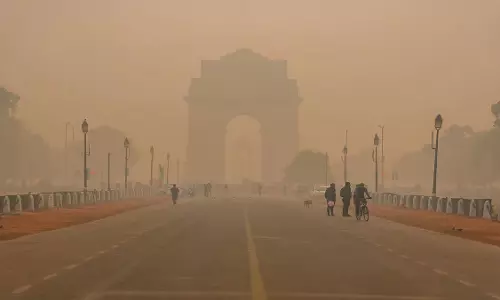 बेहद गंभीर श्रेणी में दिल्ली की हवा, 317 अंक पर बना हुआ है औसत एक्यूआई