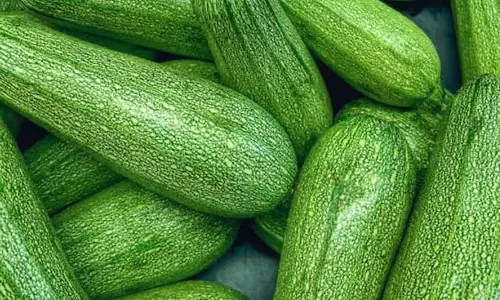 Zucchini रक्तचाप को नियंत्रित करके हृदय स्वास्थ्य की रक्षा करती Zucchini रक्तचाप को नियंत्रित करके हृदय स्वास्थ्य की रक्षा करती