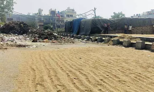 Punjab: मंडी खचाखच भरी, धान को कचरे के ढेर के पास जगह मिली