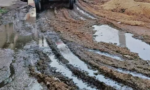 Haryana : हमारे पाठक क्या कहते हैं स्थिर पानी स्वास्थ्य के लिए ख़तरा