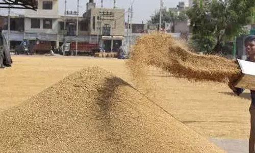 Punjab: केंद्र ने राज्य के लिए 22 लाख मीट्रिक टन नए धान भंडारण स्थान को मंजूरी दी