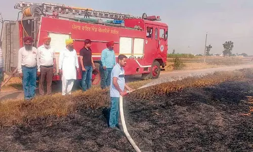 Amritsar, तरनतारन में एक दिन में पराली जलाने की 294 FIR दर्ज