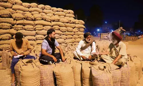 Punjab: मंडियों में उत्पादकों की रातों की नींद हराम