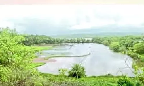 NGT ने लौटोलिम-बोरिम पुल के खिलाफ बोरिम किसानों की याचिका पर फैसला सुरक्षित रखा