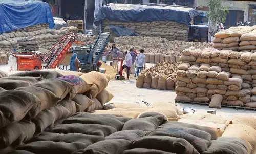 Punjab ने धान की अधिकता से निपटने के लिए मिल मालिकों को लुभाया