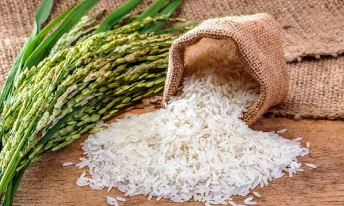Bharat brand आटा, दाल और चावल की सस्ती बिक्री बुधवार से शुरू