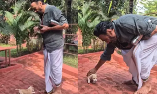 Jackie Shroff के फार्म में आया नया सदस्य, इंटरनेट ने इसे स्कू-बिडू नाम दिया