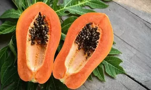 Papaya को पेट का अमृत यूं ही नहीं कहा जाता Papaya को पेट का अमृत यूं ही नहीं कहा जाता