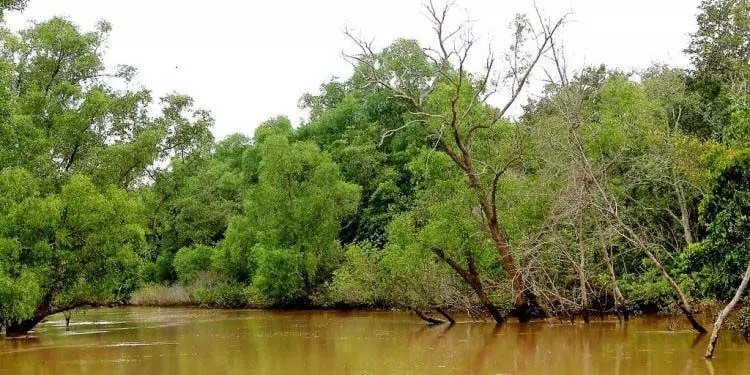 समुद्री तूफ़ान कनिका राष्ट्रीय उद्यान के निकट ओडिशा तट को पार करेगा