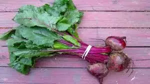 Health Benefits of Beetroot:  बदलते मौसम में जरूर खाएं ये लाल सब्जी