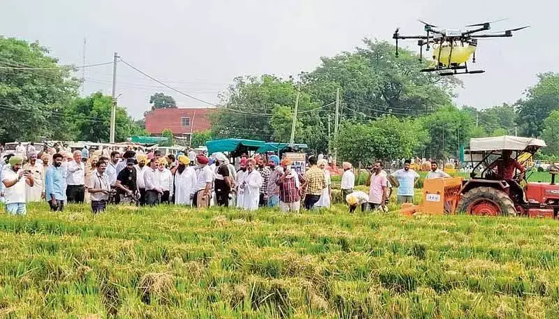 PAU को रिमोट पायलट प्रशिक्षण के लिए DGCA की मंजूरी मिली