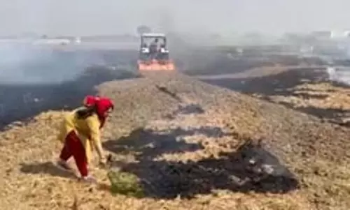 पलवल : पराली जलाने वालों पर सख्त कार्रवाई, अब तक 19 किसानों के खिलाफ मुकदमा