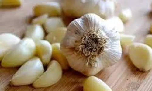 Health: खाली पेट लहसुन खाने से दूर होंगी कई समस्याएं