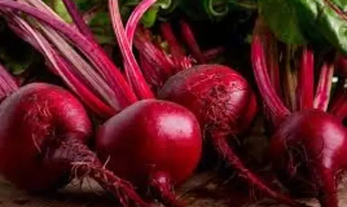 Superfood beetroot: सुपरफूड चुकंदर स्वास्थ्य लाभों से भरपूर, जाने  फायदे