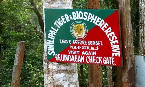 चक्रवात के मद्देनजर ओडिशा में बाघ अभयारण्य और राष्ट्रीय उद्यान बंद