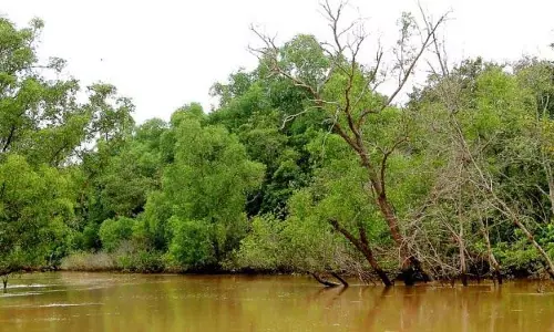 समुद्री तूफ़ान कनिका राष्ट्रीय उद्यान के निकट ओडिशा तट को पार करेगा