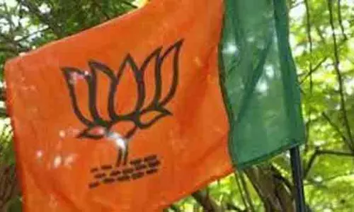 भाजपा के नामांकन अभियान से Andhra Pradesh में पार्टी का आधार बढ़ा भाजपा के नामांकन अभियान से Andhra Pradesh में पार्टी का आधार बढ़ा