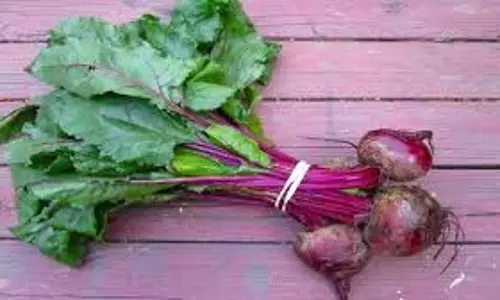 Health Benefits of Beetroot:  बदलते मौसम में जरूर खाएं ये लाल सब्जी