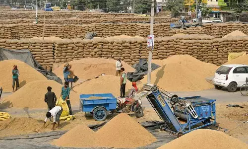 AAP-भाजपा की रस्साकशी का खामियाजा भुगत रहे किसान AAP-भाजपा की रस्साकशी का खामियाजा भुगत रहे किसान