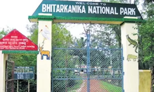 Odisha वन विभाग अलर्ट पर, भीतरकनिका, एसटीआर पर्यटकों के लिए बंद Odisha वन विभाग अलर्ट पर, भीतरकनिका, एसटीआर पर्यटकों के लिए बंद