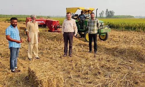 Haryana : खेतों में आग लगाने के मामले में अंबाला में 42 किसानों पर जुर्माना लगाया गया