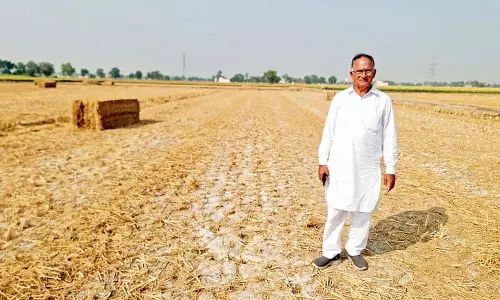 Haryana : फतेहाबाद में पराली प्रबंधन में किसान अग्रणी