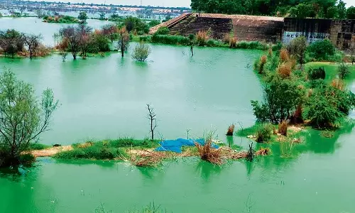 सरकारी विभाग ने STP नमूनों पर जवाब दाखिल करने के लिए सरकारी विभाग ने STP नमूनों पर जवाब दाखिल करने के लिए