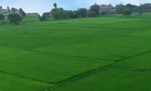 TG ने धरणी पोर्टल प्रबंधन को NIC को हस्तांतरित किया