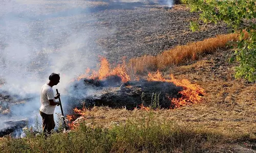 Punjab, Haryana में पराली जलाने को लेकर सुप्रीम कोर्ट ने केंद्र से सवाल किया Punjab, Haryana में पराली जलाने को लेकर सुप्रीम कोर्ट ने केंद्र से सवाल किया