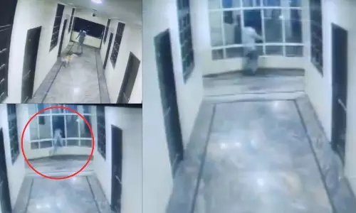 VIDEO: कुत्ते को भगाने की कोशिश में युवक होटल की तीसरी मंजिल से गिरा, मौत VIDEO: कुत्ते को भगाने की कोशिश में युवक होटल की तीसरी मंजिल से गिरा, मौत