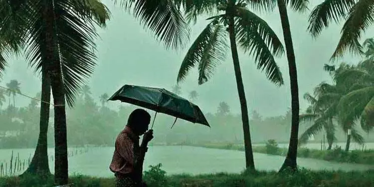 चक्रवात दाना के बाहरी क्षेत्र के भूमि क्षेत्र को छूने से ओडिशा में बारिश शुरू हो गई IMD