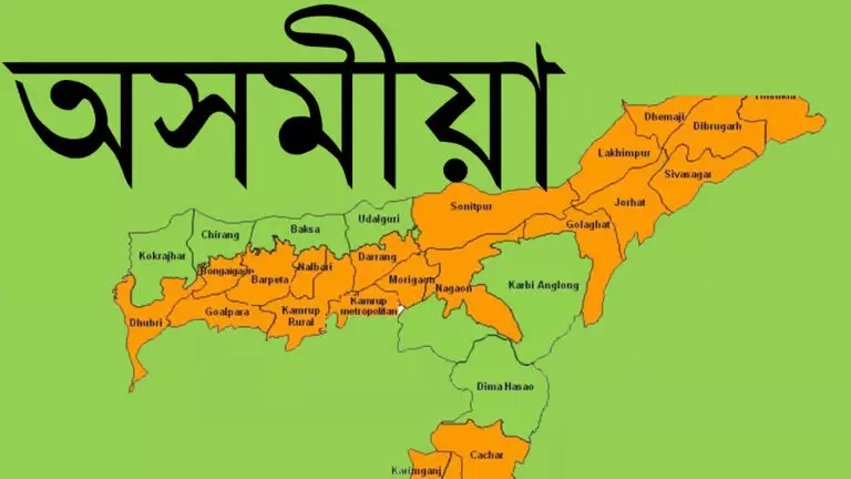 Assam :  दीमा हसाओ जिला असमिया शास्त्रीय भाषा की स्थिति का जश्न मनाने और साहित्यिक योगदान को सम्मानित